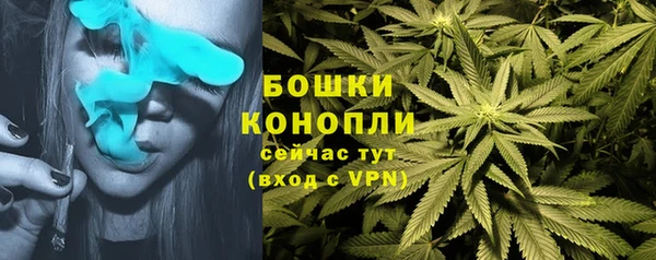 первитин Абинск