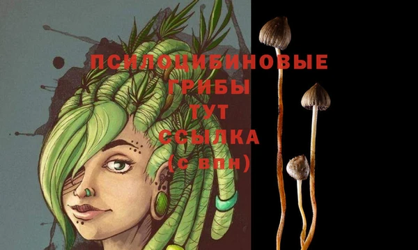 первитин Абинск