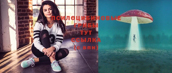 прущие крисы Абаза