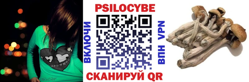 MEGA ТОР  купить   Сольцы  Псилоцибиновые грибы GOLDEN TEACHER 